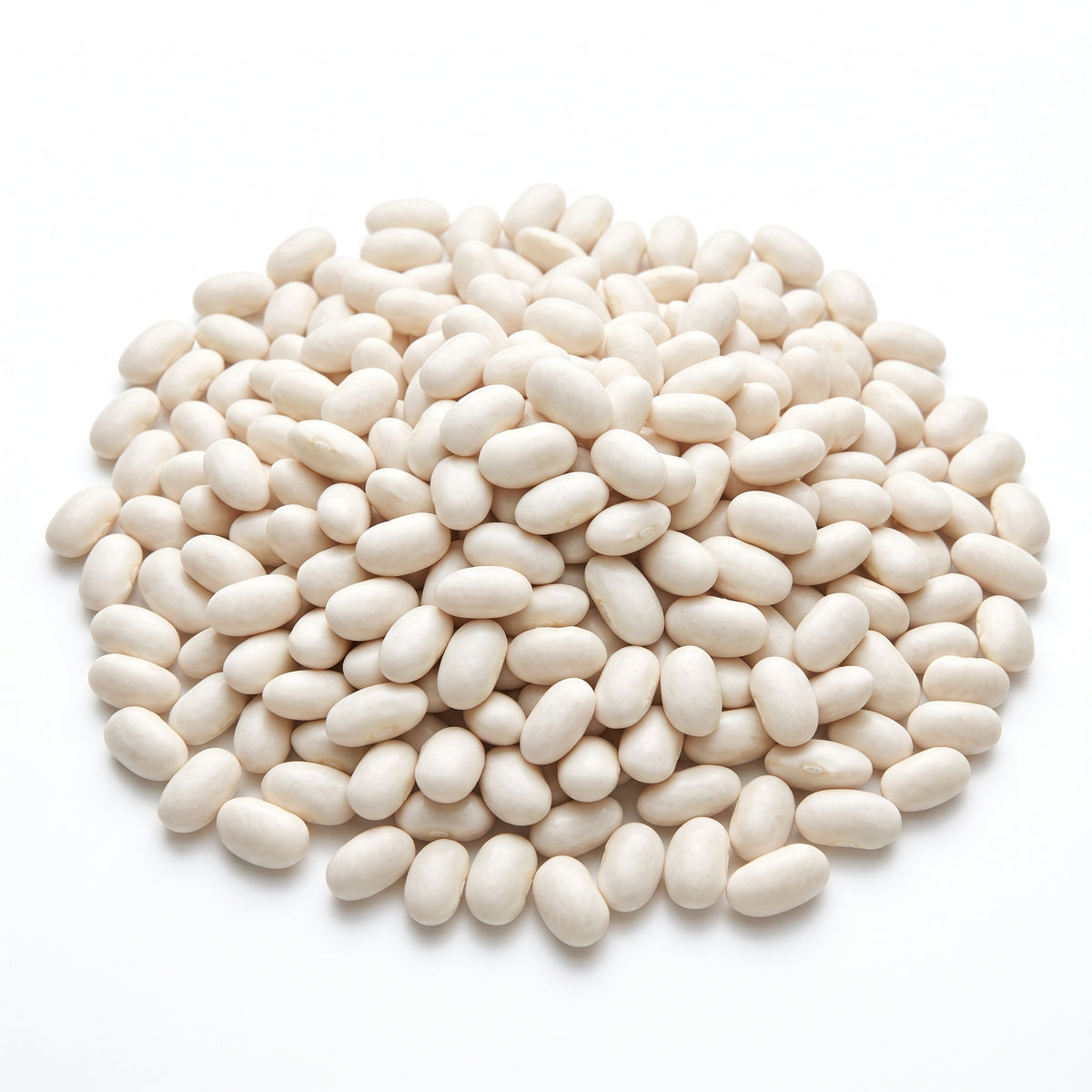 Organik Badalan Taze Fasulye İç Şeker 500 Gr