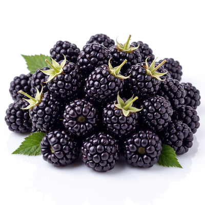 Organik Böğürtlen 250 Gr