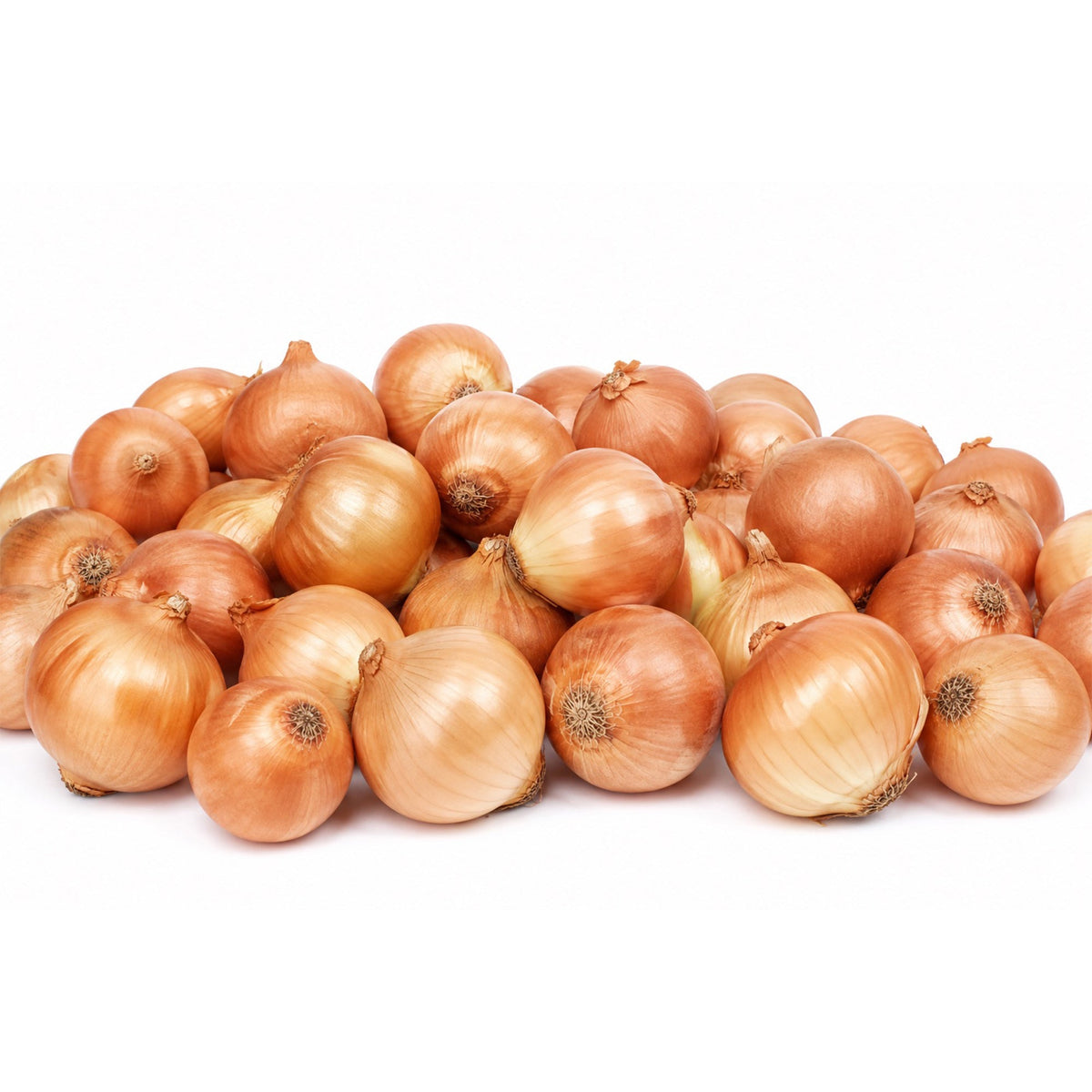 Organik Kuru Soğan 5 Kg