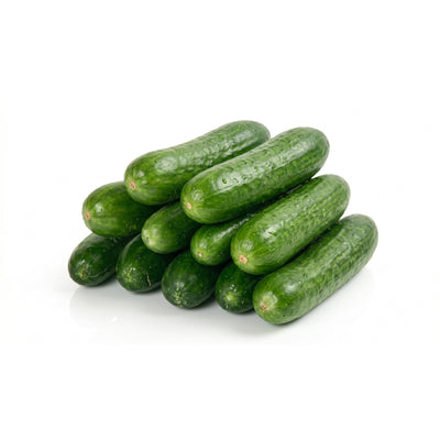 Organik Salatalık 500 Gr
