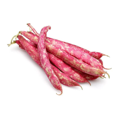Organik Barbunya 500  Gr