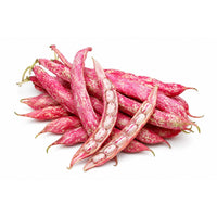 Organik Barbunya 500  Gr