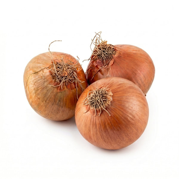 Organik Kuru Soğan 500 Gr
